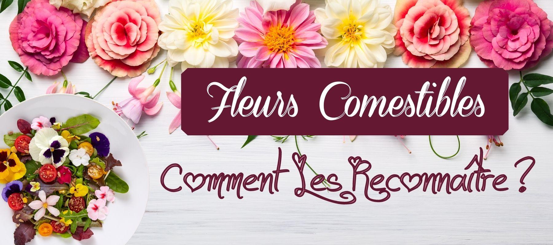 fleurs comestibles cuisine