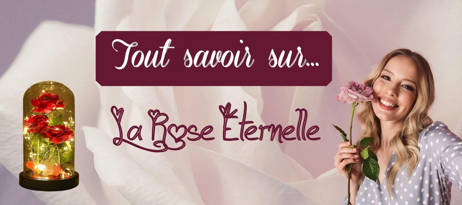 tout savoir sur rose éternelle