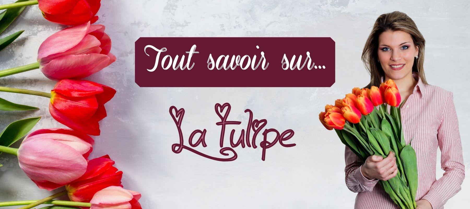 Découvre les Fleurs - de 4 ans à 7 ans: Apprends à Reconnaître les Fleurs :  Découvre La Rose, La Tulipe, La Lavande, Le Muguet, Le Tournesol, La