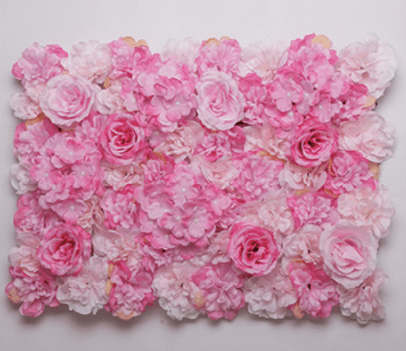 Mur de Fleurs   Rose Bonbon