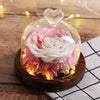 mini rose eternelle sous cloche rose clair et blanche