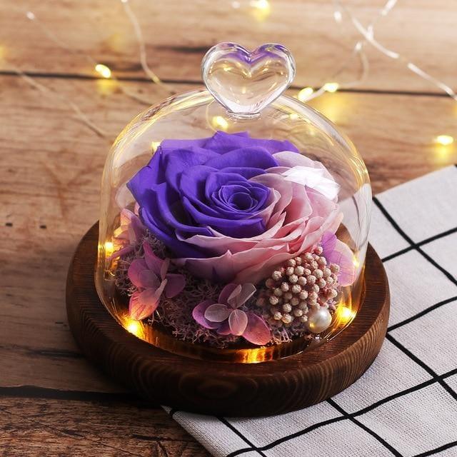mini rose eternelle sous cloche rose et violette