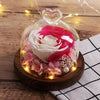 mini rose eternelle sous cloche rose et blanche