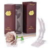 rose eternelle blanche en or