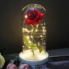 rose eternelle lumineuse rouge passion