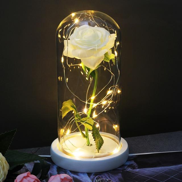 rose eternelle lumineuse blanche