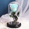 rose eternelle bleu turquoise
