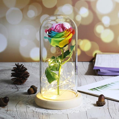 rose eternelle multicolore