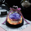 petite rose eternelle violette sous cloche