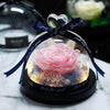 petite rose eternelle rose poudre
